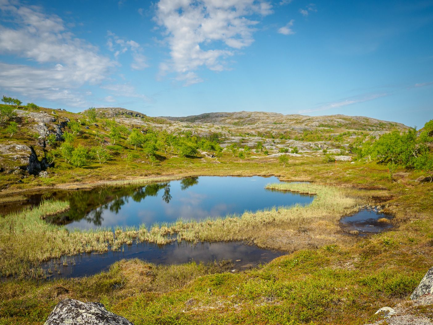 Kirkenes