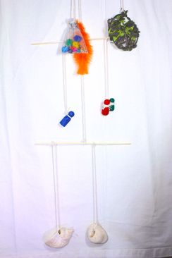 Figure 1 Ruslanas mobile