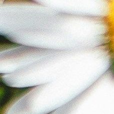 unsplash_VHy59JNMgzw