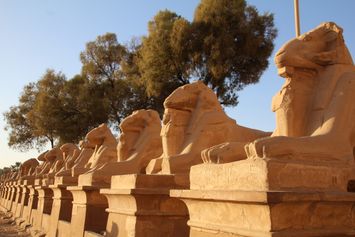 Luxor tempel - sphinx alle