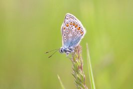 _MG_7702(2)