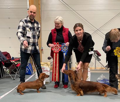 BIS-1 KN Kjerrantunets Kerstin, BIS-2 LN SE U(V)CH Red Top's Uutiset