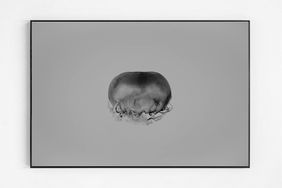 Moonjelly_2