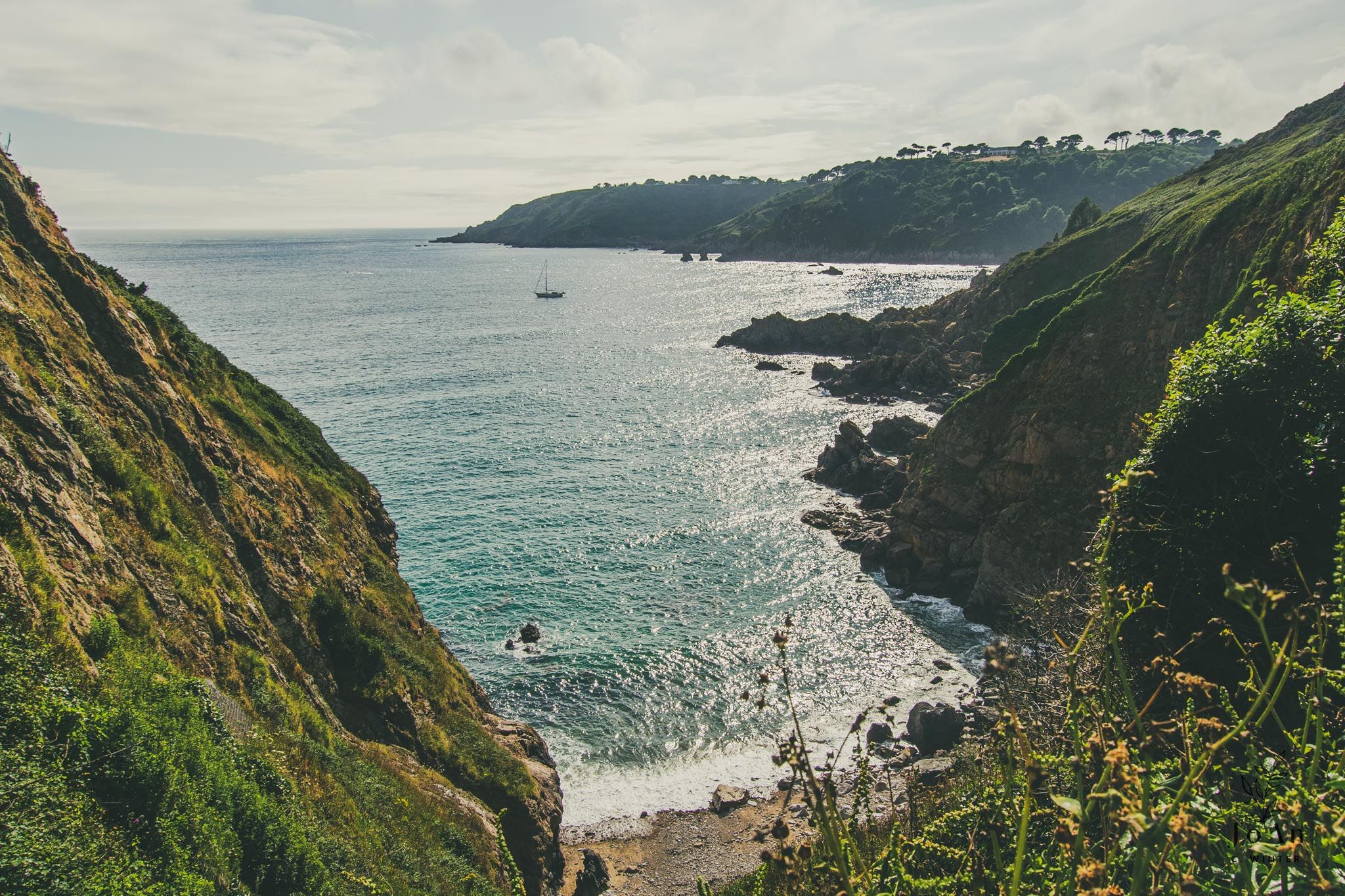 Guernsey © JoAn C Winter