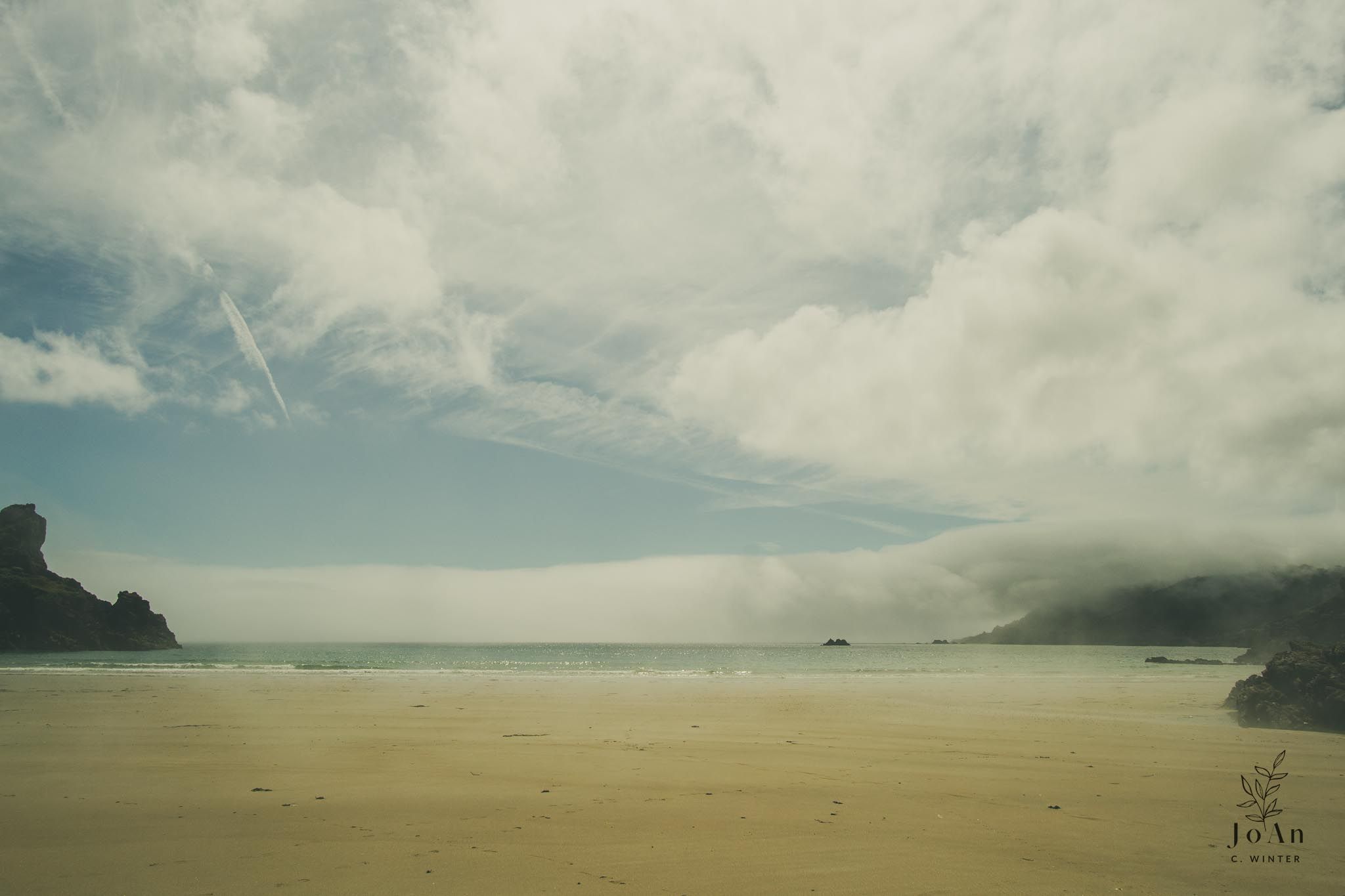 Guernsey © JoAn C Winter