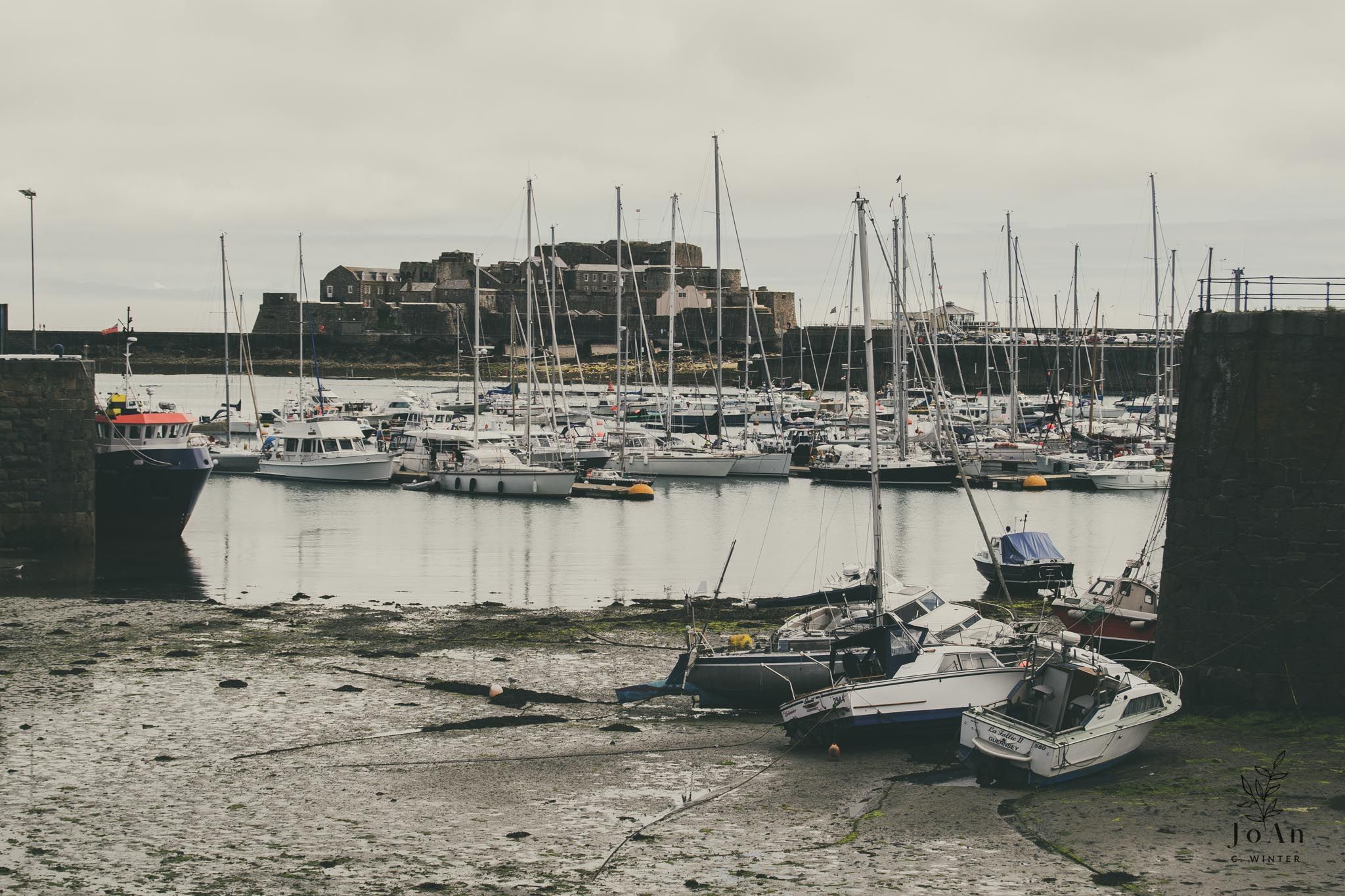 Guernsey © JoAn C Winter