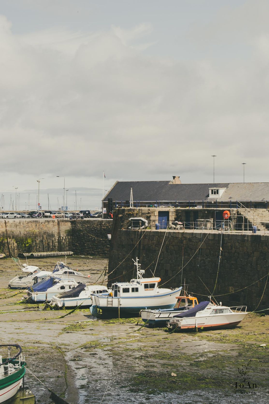 Guernsey © JoAn C Winter