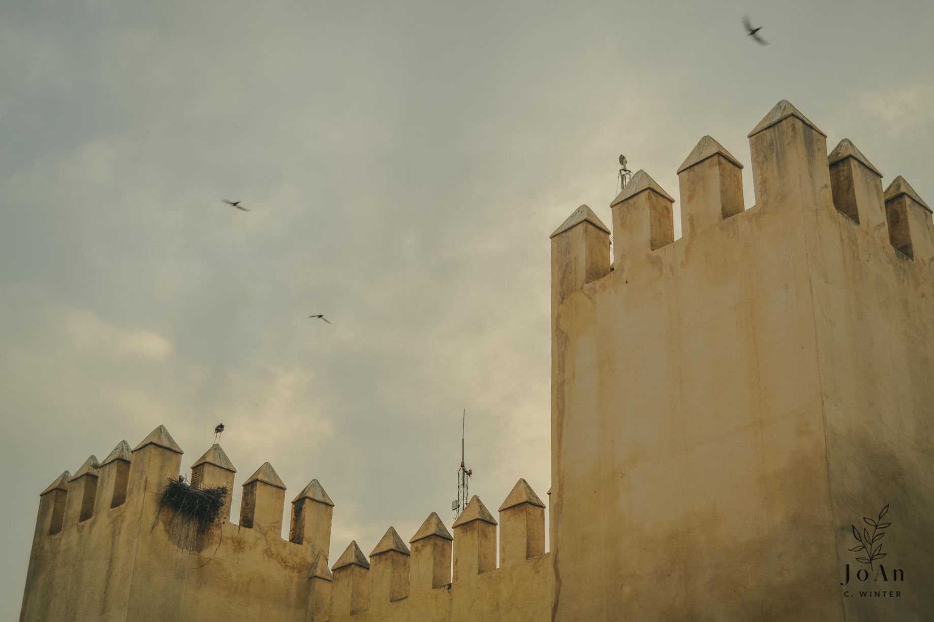 Marroco © JoAn C Winter
