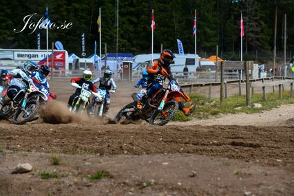 DSC_8911 (1)