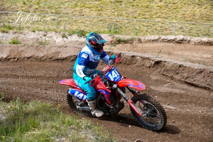 DSC_9008 (1)