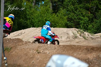 DSC_9013 (1)