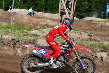 DSC_9017 (1)