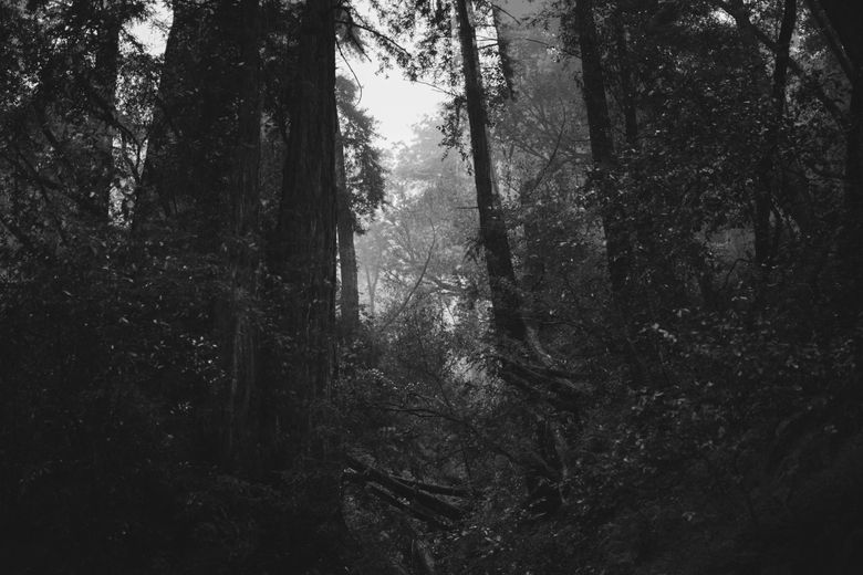 California, '17