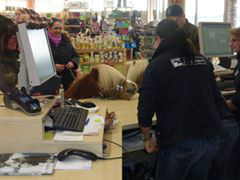 für Leckerlis machen wir alles