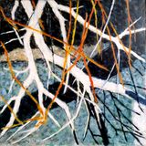 Salix 60 X60