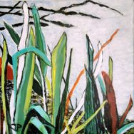 Lille Vildmose 7, 35 x 35