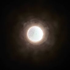 120052306_1249655838721506_8673717849250939943_n