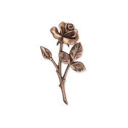 Rose 20 544 B