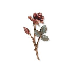 Rose 20 544