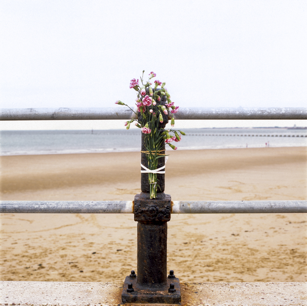 13_212_09_flowers on railings