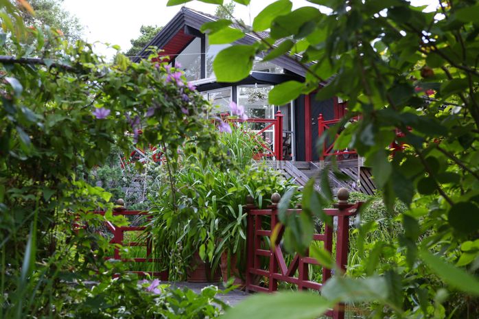 Stora dammen med huset i bakgrunden.