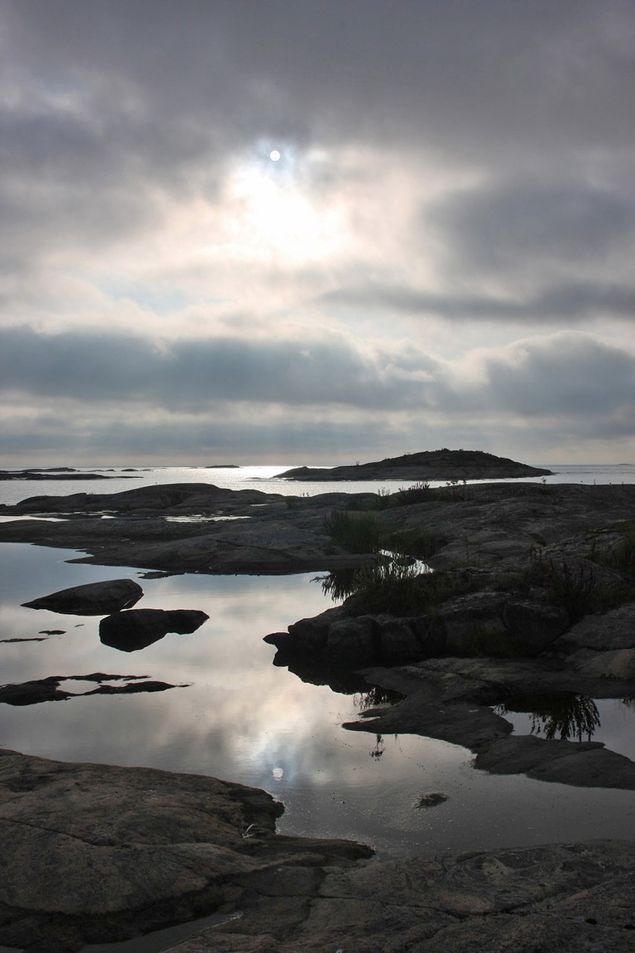 Det är fredagskväll en dryg vecka in i december. Vinden viner kring husknuten och i fönstret kan jag se hur persikoträdets grenar vajar upp och ner i vinden. De löst sittande ljusslingorna rör sig likt eldflugor i den starka vinden. Mörkret vid den här årstiden är väldigt påtagligt och framförallt långvarigt. Kung Bore har varit ganska beskedlig hittills i år och jag följer med stor spänning hur han tänkt sig den närmaste tiden. Förståsigpåare menar att vi kommer att få en snörik och kall vinter, vilket återstår att se. Klara dagar kan man behöva solglasögonen men då under ganska begränsad tid då solen smyger i kanten av trädtopparna och oftast inte når upp så högt att den kan avnjutas. Att kalla det för dag är säkert en överdrift då det oftast i bästa fall kan liknas vid gryningsljus. 
Vid den här tiden på året behöver man all motion som går att uppbringa för att inte vågens numera digitala funktioner ska ge upp och låsa sig så att man får kalla på sonen för att få igång den igen. För även i vågen sitter det naturligtvis en liten dator som talar om när lussebullarna blivit för många eller att pepparkaksdegen till lunchen inte var det bästa alternativet när det gäller att hålla vikten i styr. Som tur är närmar sig julen och därmed dansen kring granen som gör att kilona antagligen kommer att rasa. 
För att gardera eventuellt frånfälle i juldansen brukar jag gå cirka en timma varje dag. Den timman använder jag oftast till att fundera över kommande projekt i trädgården och eftersom projekten oftast är många är det ett utmärkt sätt att förbereda för våren – även om den just nu känns väldigt avlägsen.
