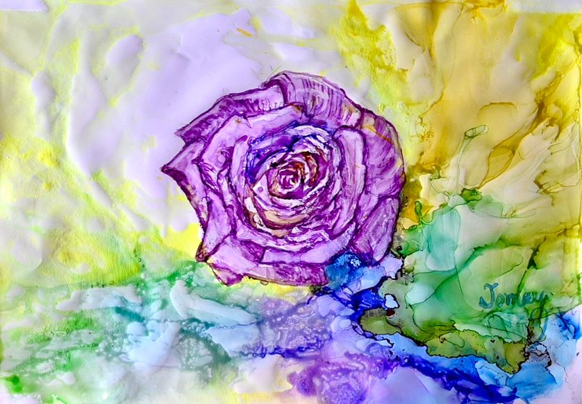 Purple rose