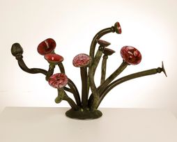 Longstrompi fronti