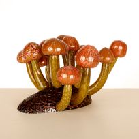 Svampar på stock