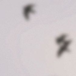 unsplash_hiuBsBPPquE