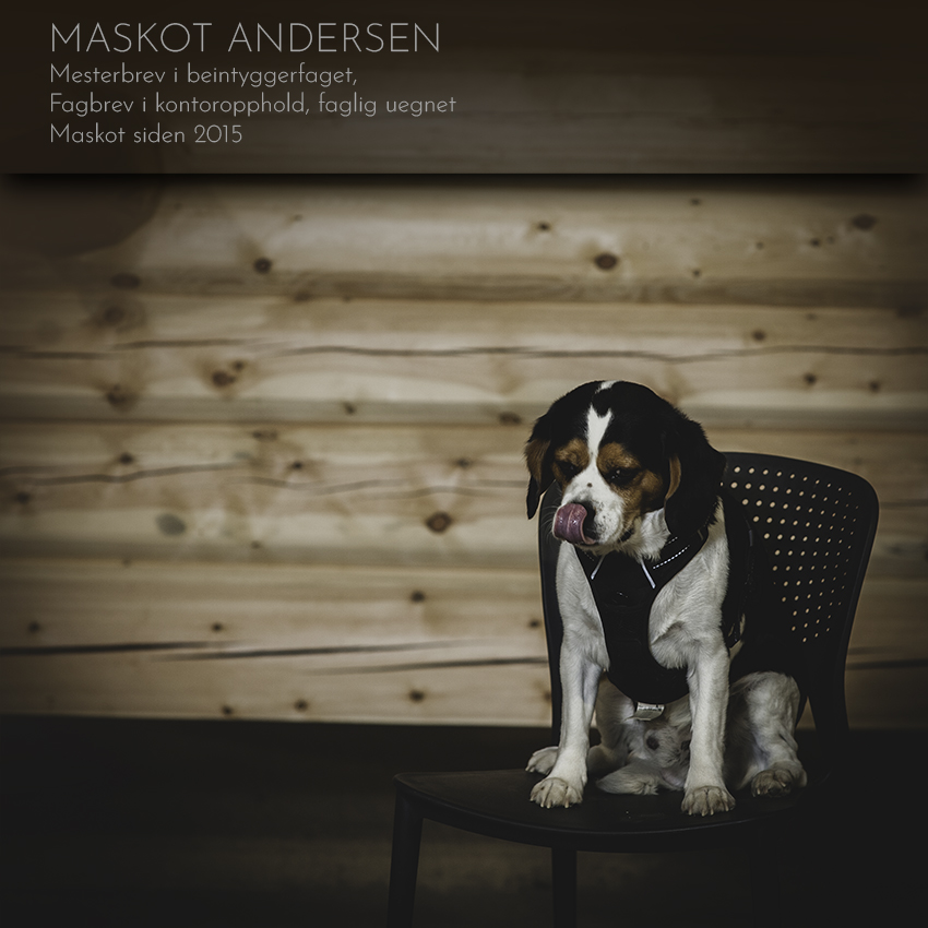 Maskot hund