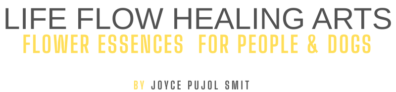 joyce pujol smit 