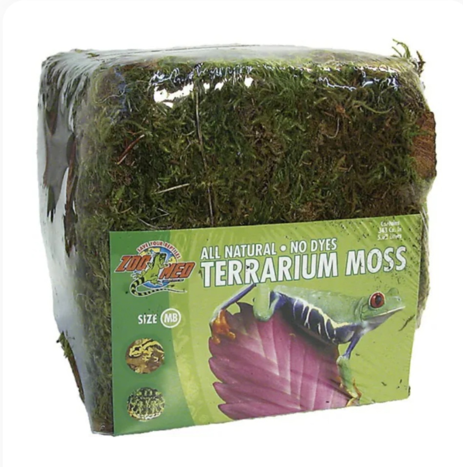 ZM Mousse de terrarium Grand Format
