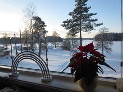 IMG_2517