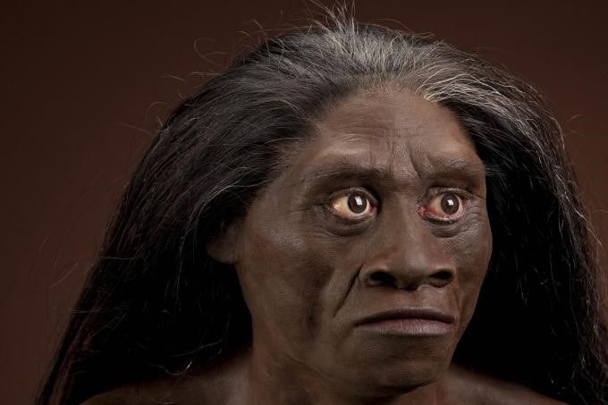 El Ebu Gogo el caníbal de la jungla, otro Mockumentary de Discovery Channel, de los recientes descubrimientos del Hommo Florescentis 