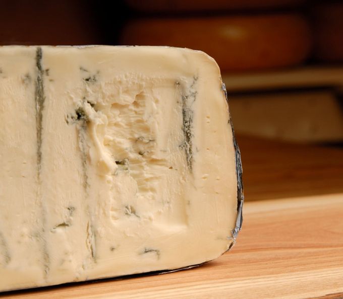 Queso Geai Bleu
