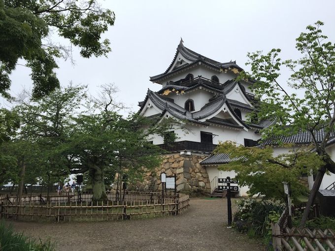 Castillo de Hikone
