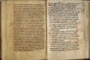 Chronicum Anglicanum de Ralph de Coggeshall fue escrito en 1220 y recoge testimonios de las personas que presenciaron la aparición de los hermanos Instagram