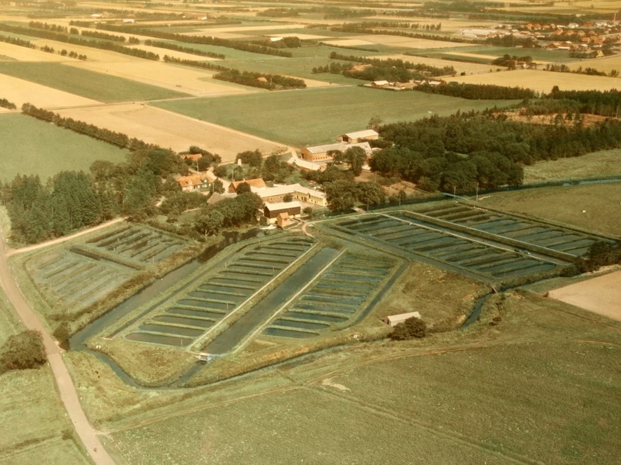 Juellingsholm Dambrug 1966. Sylvest Jensen Luftfoto; Det Kgl. Bibliotek