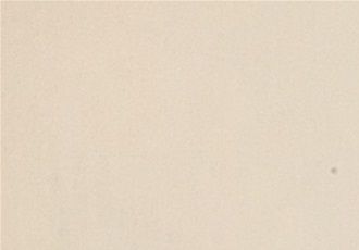 «Suzanne Travolta» par Élisabeth Benoît,