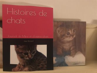 Histoires de chats / Jules Richard ..