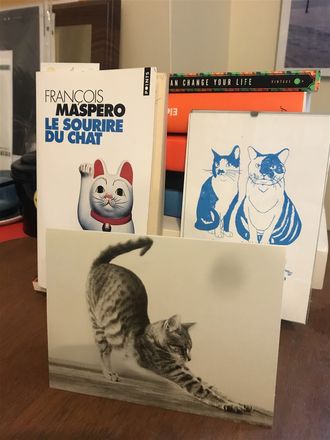 Le sourire du chat (1984) François Maspero