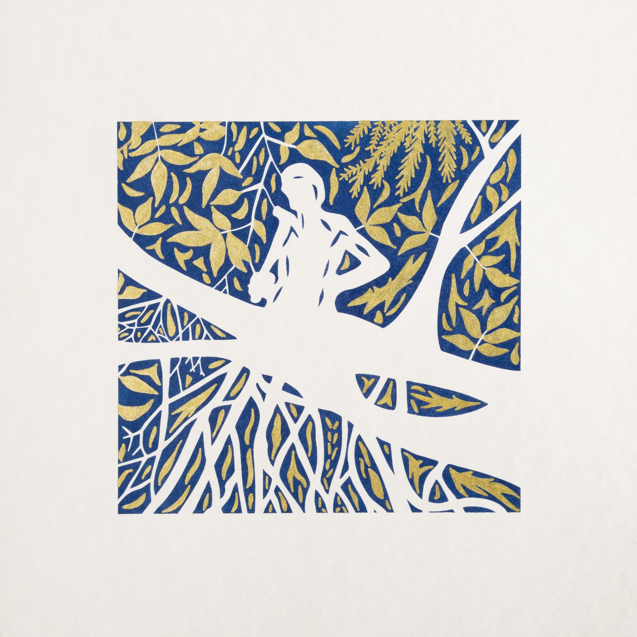 491099447_981539743960946_382666097259480278_n