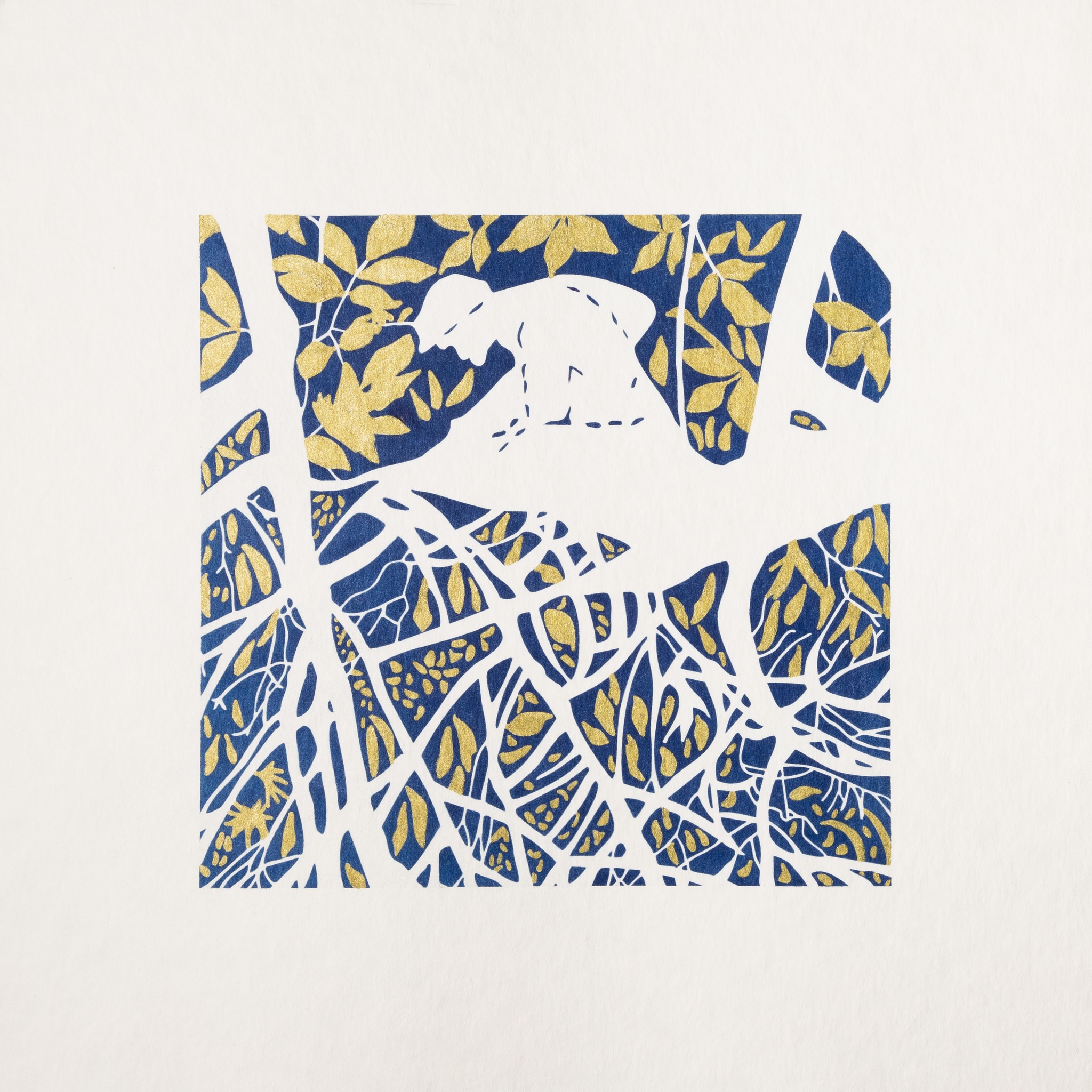 491880914_981539710627616_5270786810038549149_n