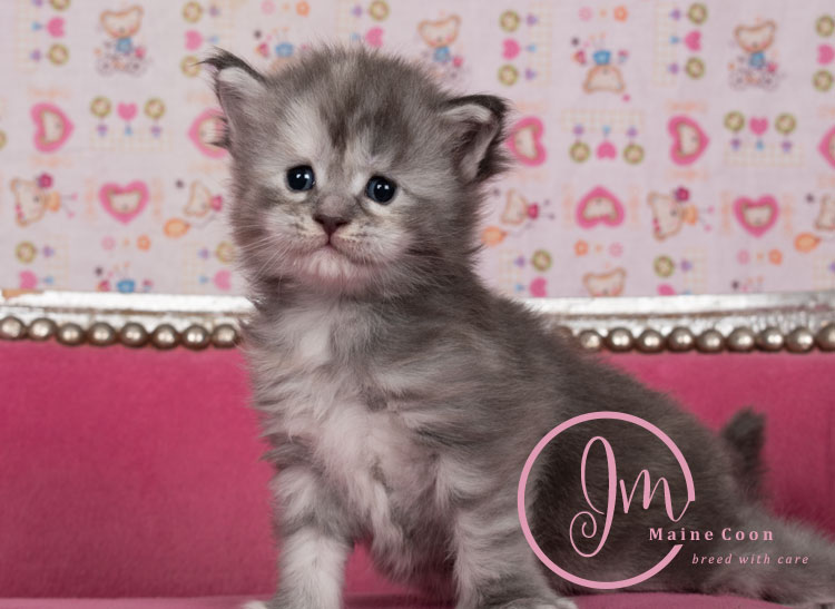 Azul03-weeks_01