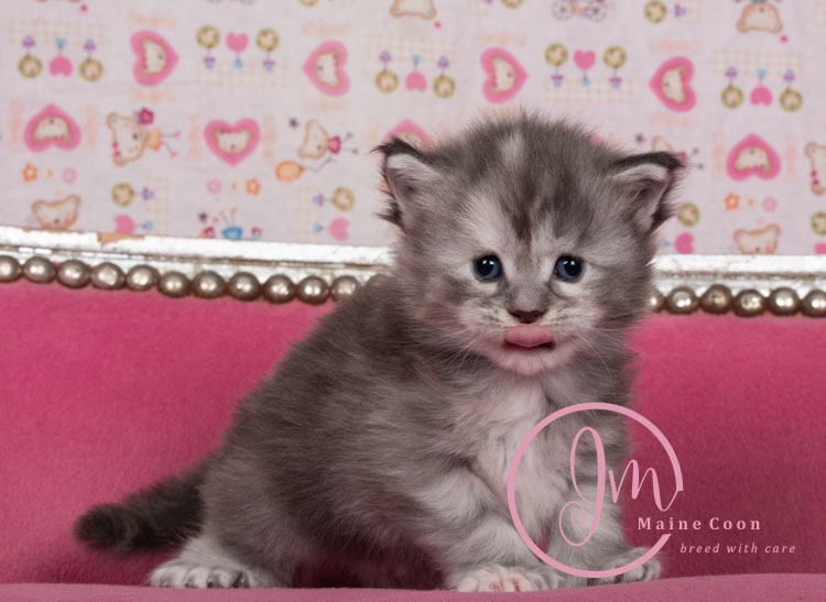 Azul03-weeks_02