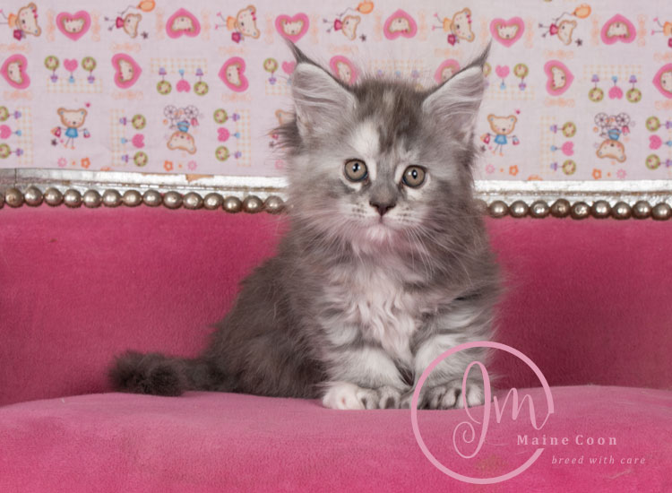 Azul07-weeks_07