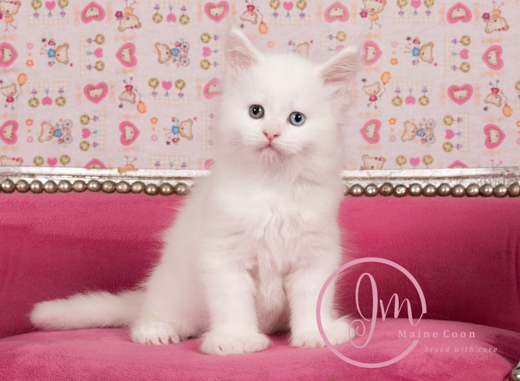 Kikærte_uge06_days00_05