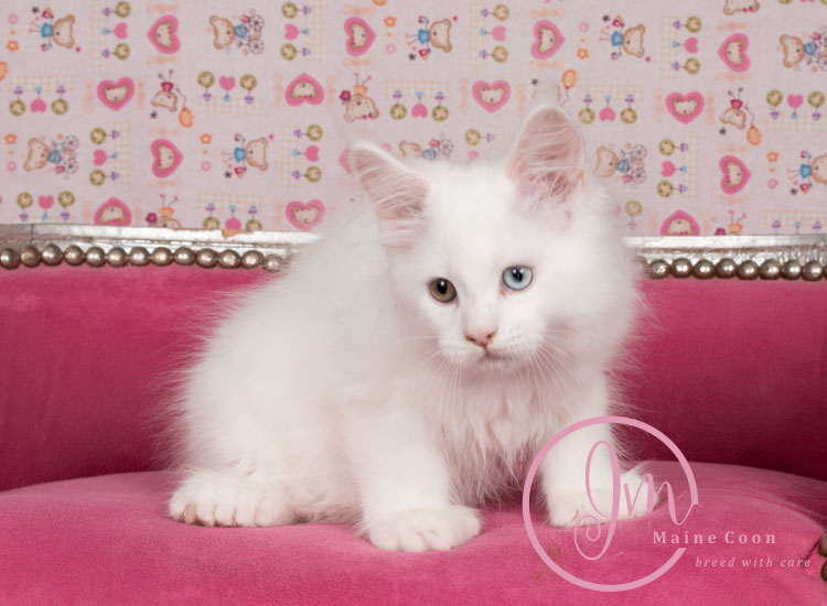 Kikærte_uge10_days00_02