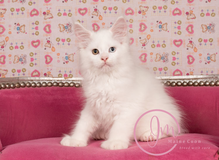 Kikærte_uge10_days00_04